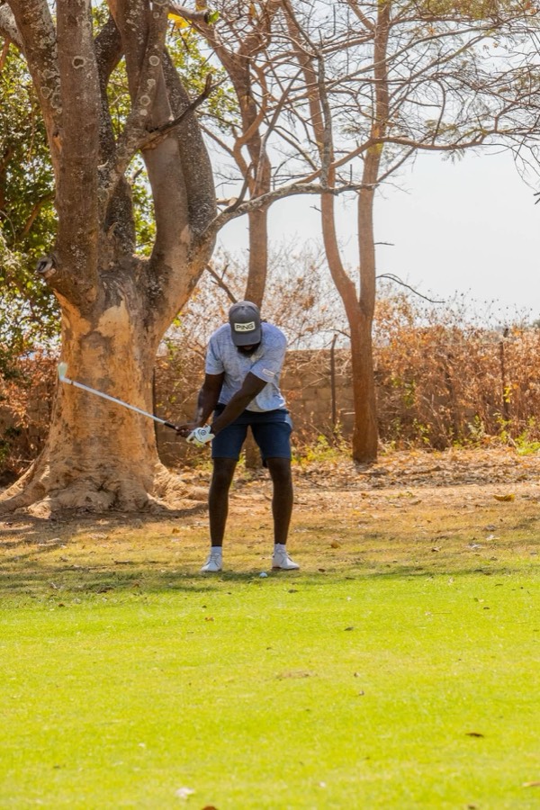 A golfer plays a shot from beside a large tree